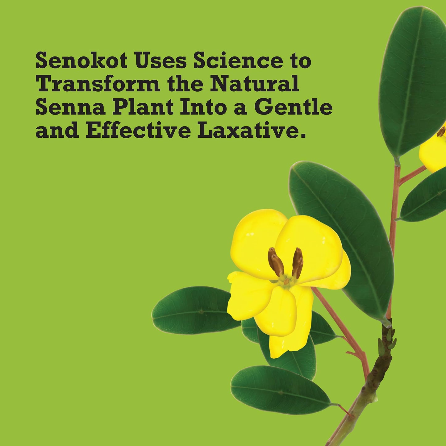 Senokot 100 tablets box for occasional constipation relief