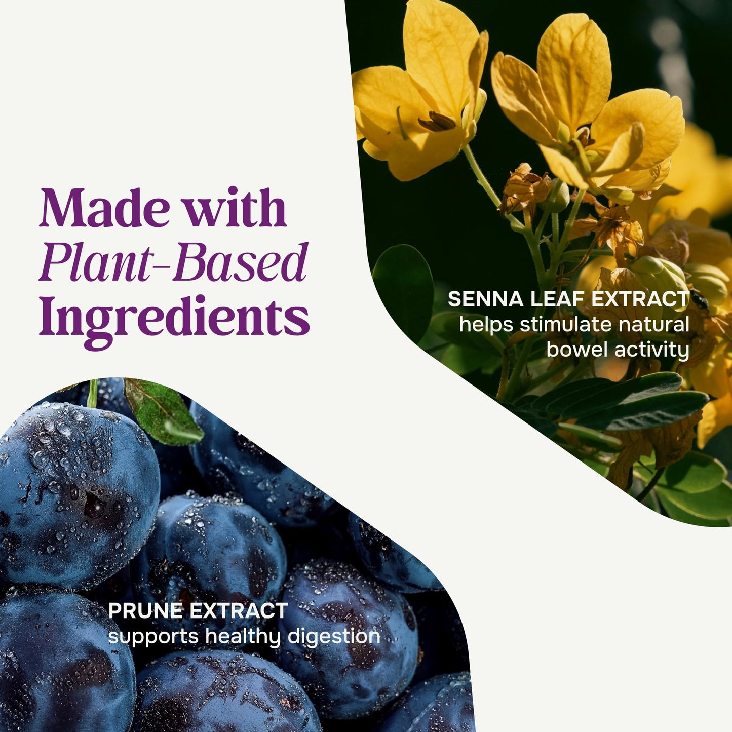 Back of Prunelax bottle with usage instructions and warnings