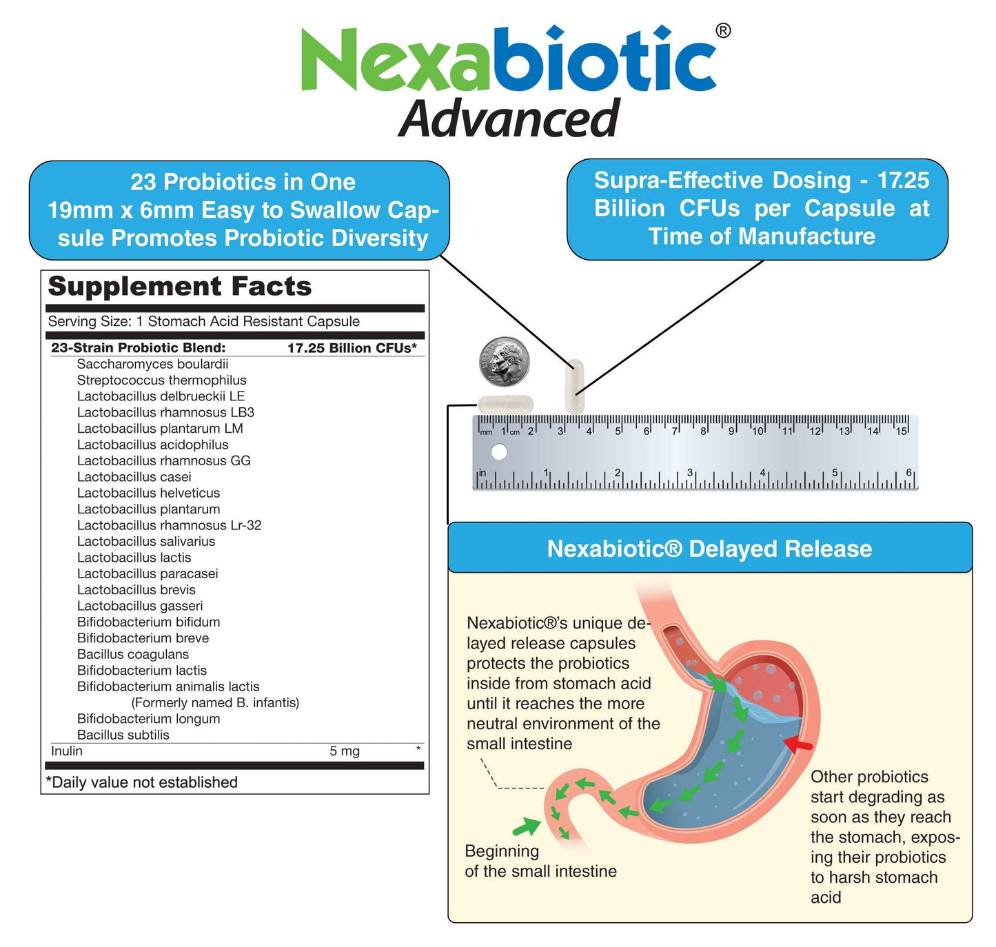 DrFormulas multi strain probiotic supplement container highlighting Saccharomyces boulardii ingredient benefits