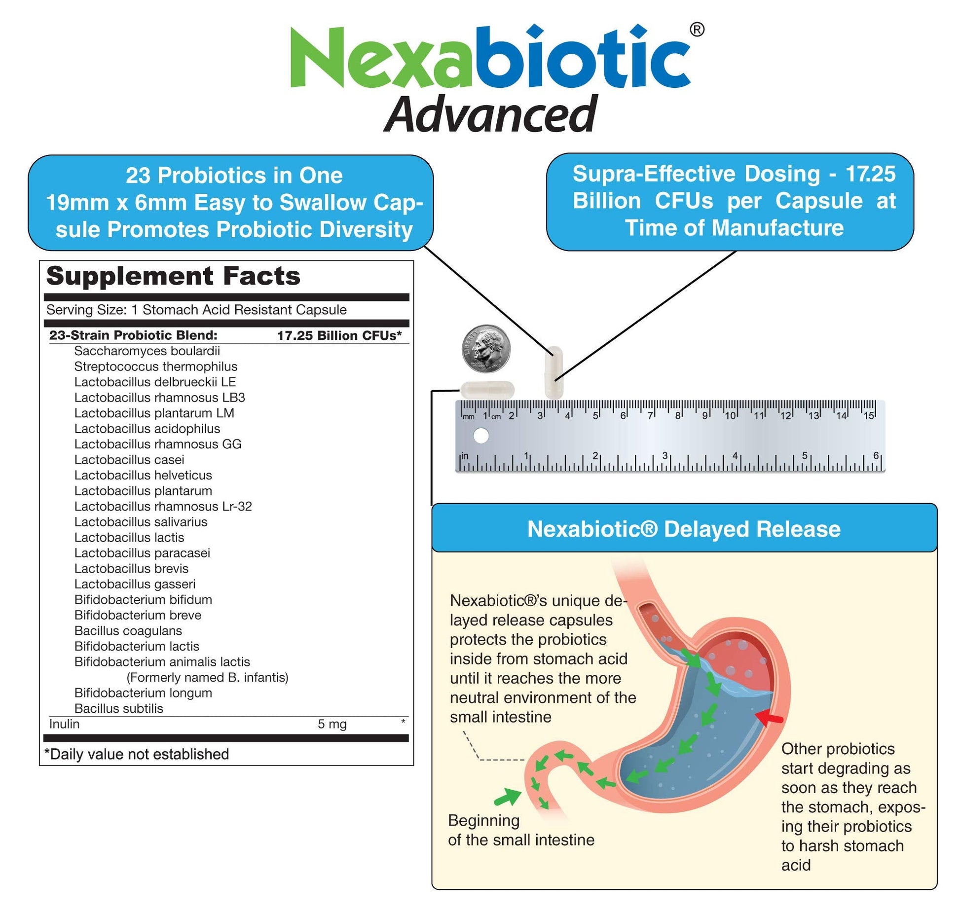 DrFormulas multi strain probiotic supplement container highlighting Saccharomyces boulardii ingredient benefits