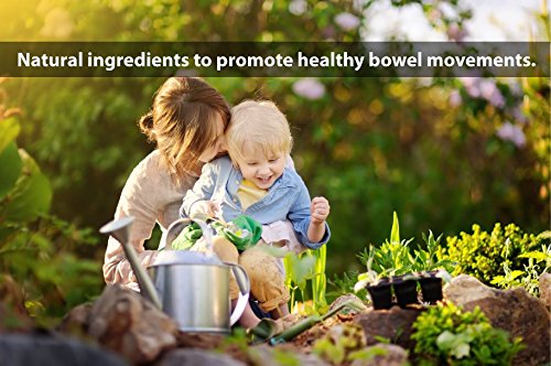 Authentic USA imported DrFormulas Nexabiotic probiotic bottle displayed on a clean wellness background