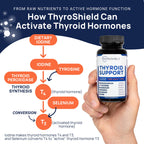 Thyroshield thyroid support capsules bottle side angle