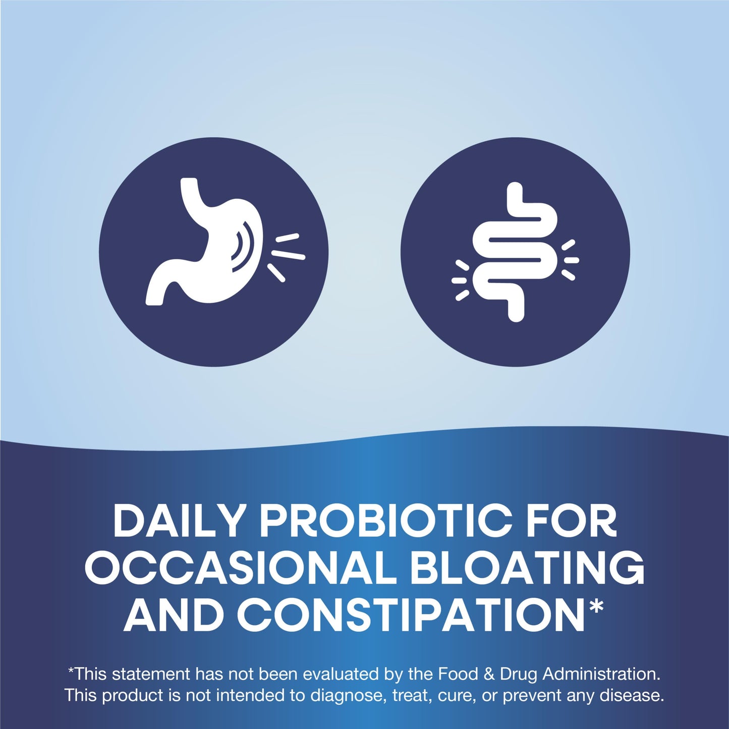 Back label of the daily probiotic supplement bottle showing the ingredient information and 1 Billion CFU active cultures.