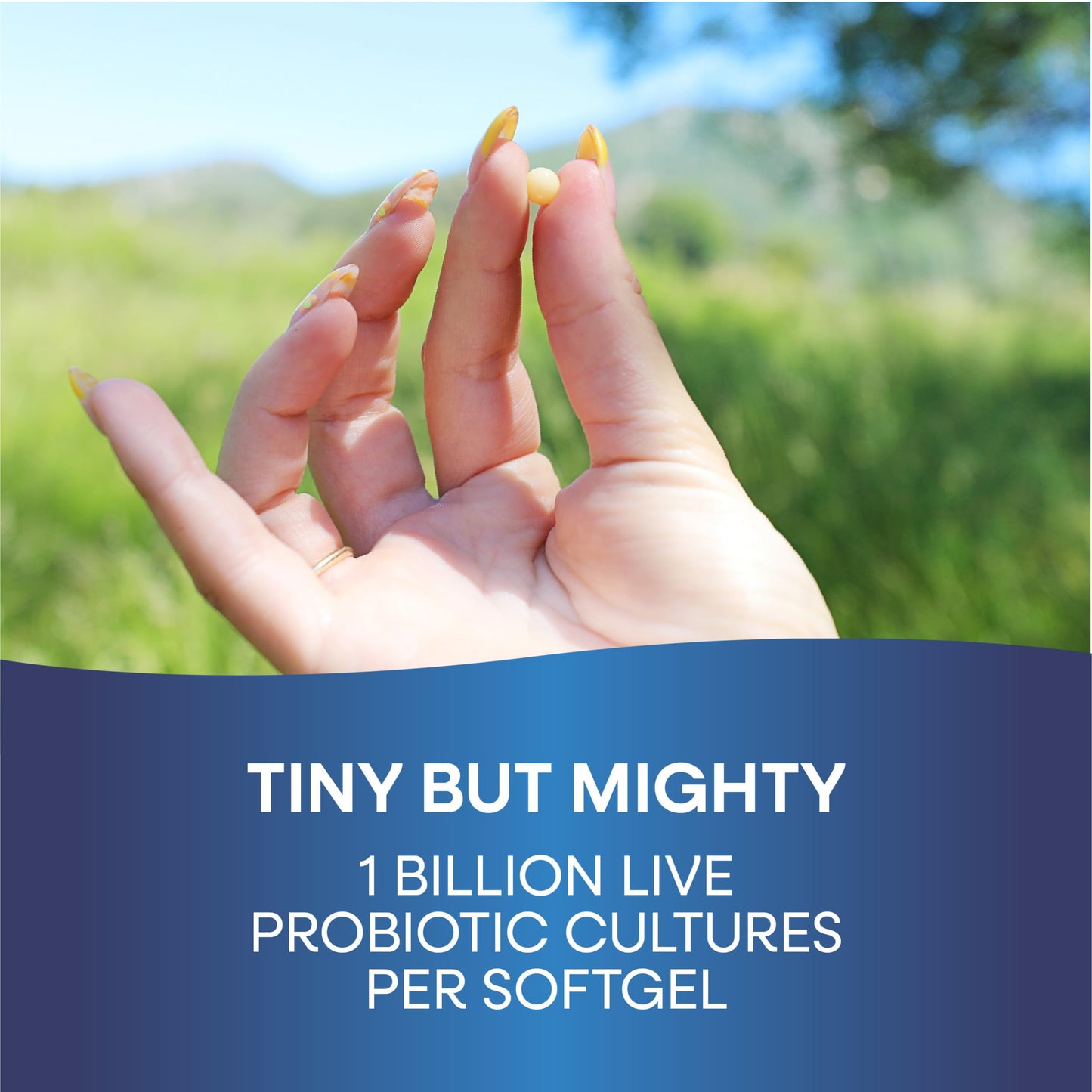 Supplement facts panel highlighting the Lactobacillus acidophilus and Bifidobacterium longum proprietary blend details.