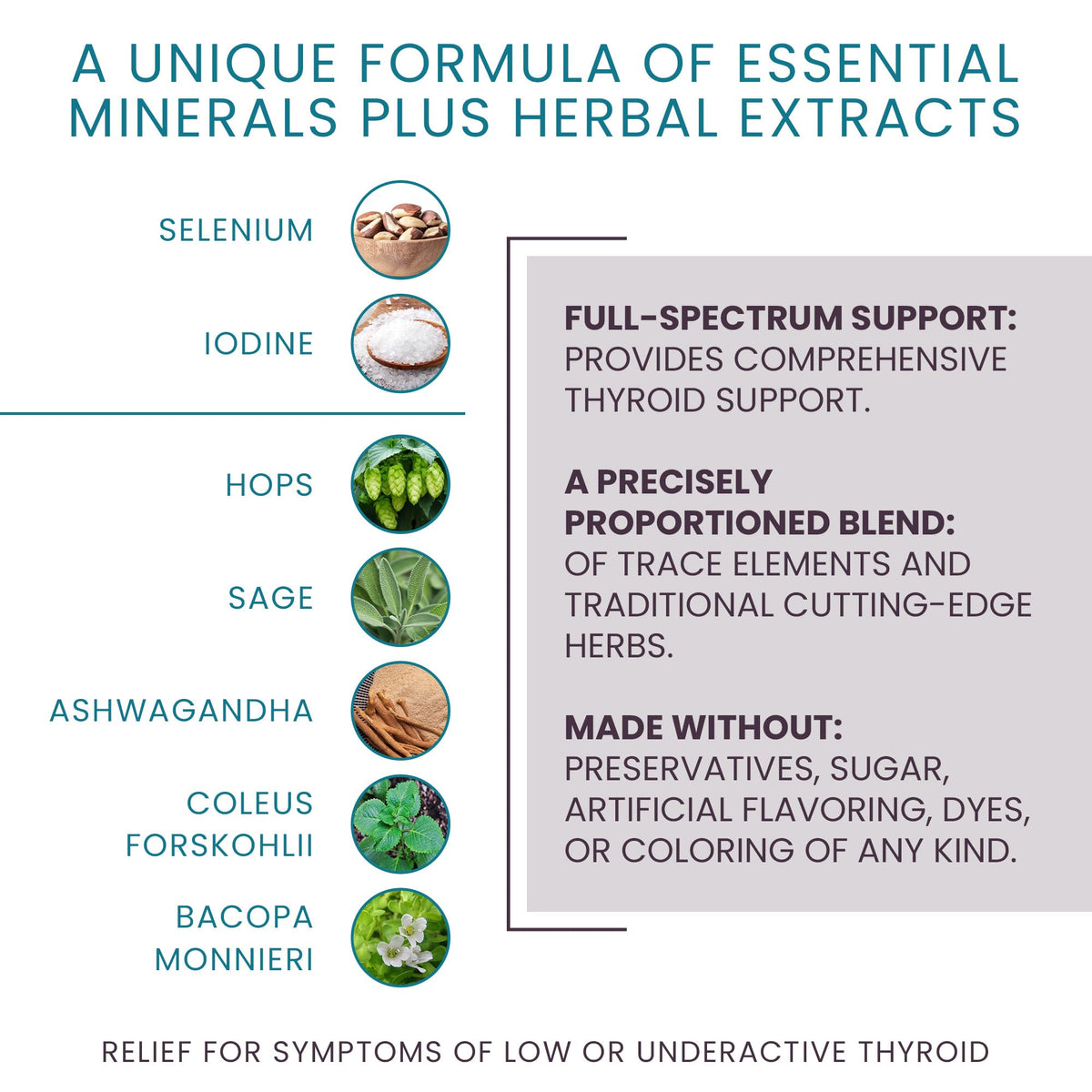 Women's Health Network T-Balance Plus supplement capsules close up