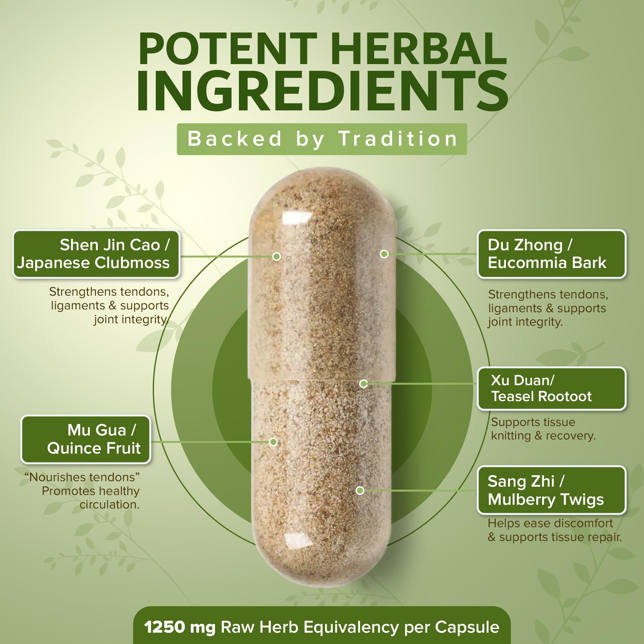 Capsule close up of Dimmak Herbs Tendon Mending formula