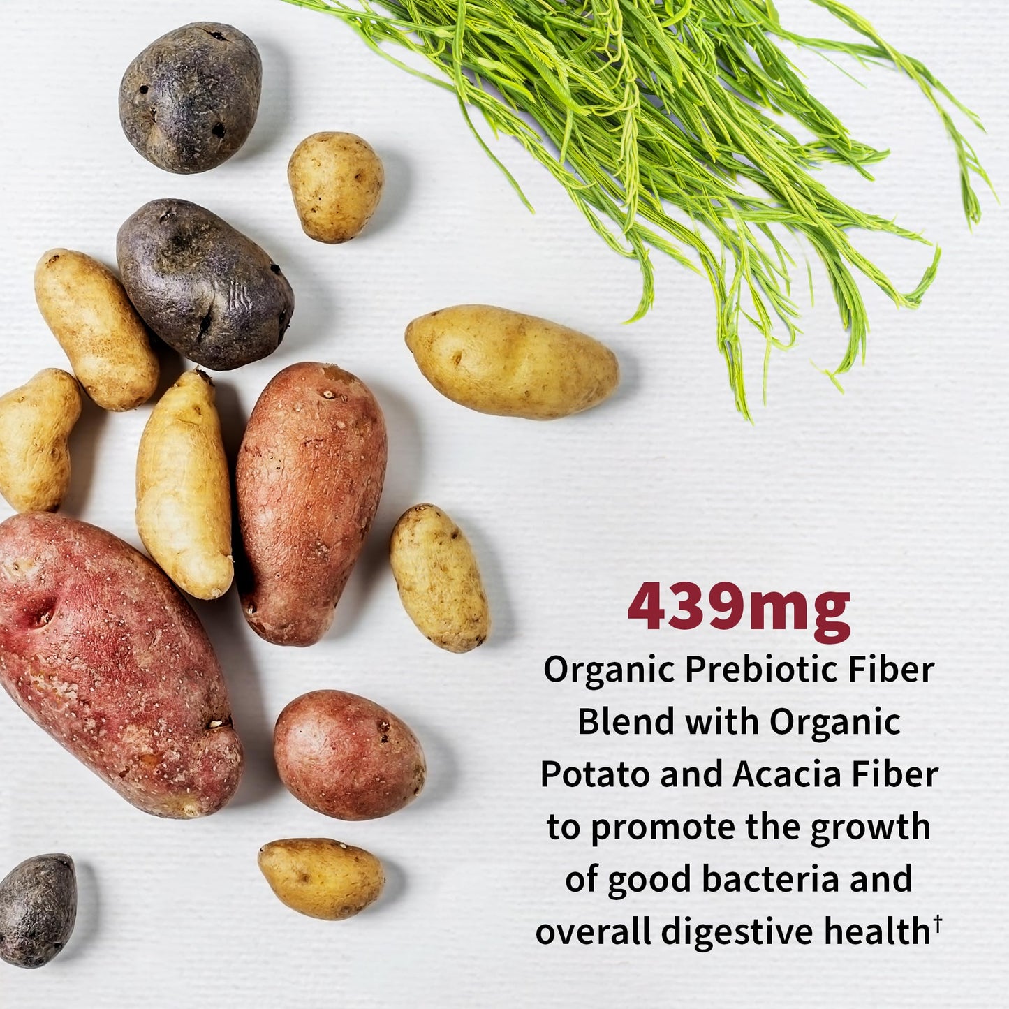An infographic layout highlighting the inclusion of organic Pacran cranberry ingredient.