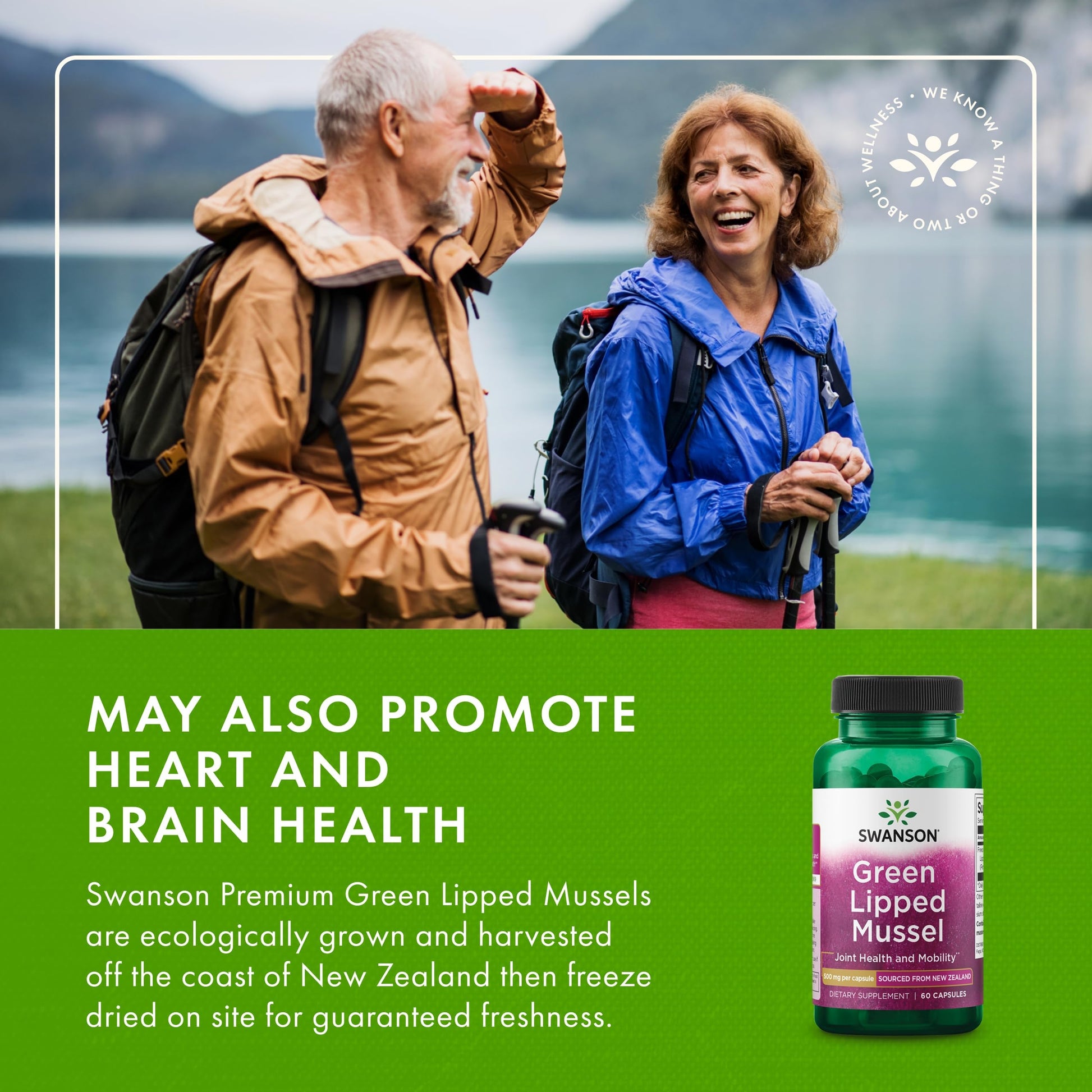 Swanson joint health supplement bottle against a clean background
