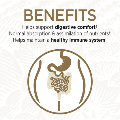 Imported Garden of Life broad spectrum probiotic 15 billion CFU supplement bottle info.