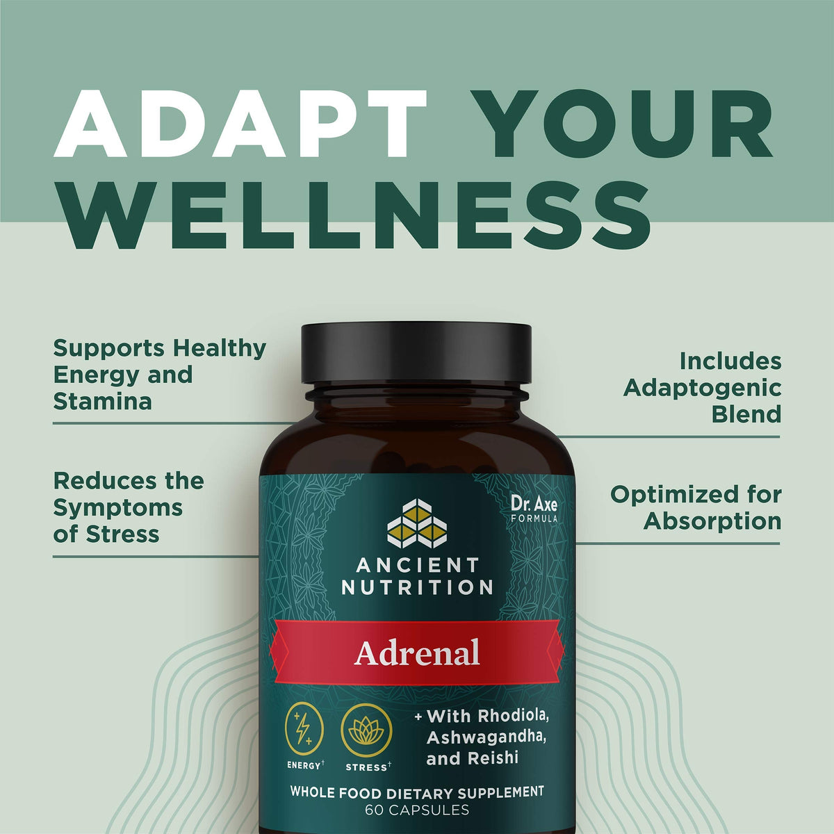Ancient Nutrition keto friendly wellness capsules packaging