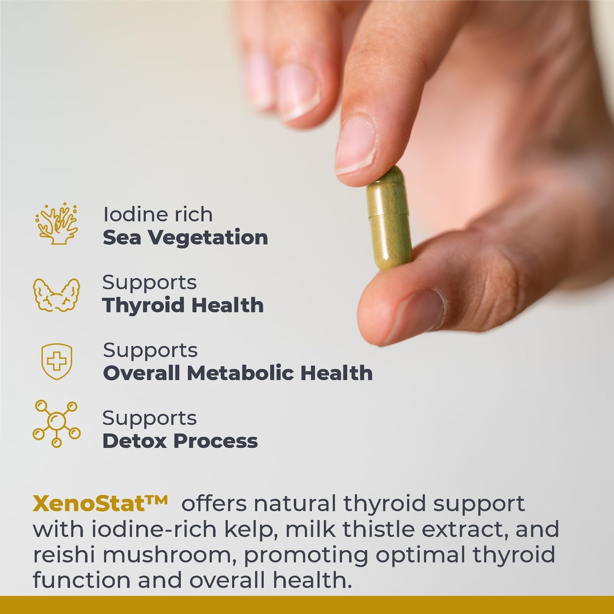 Premier Research Labs XenoStat plant source capsules capsule close up view