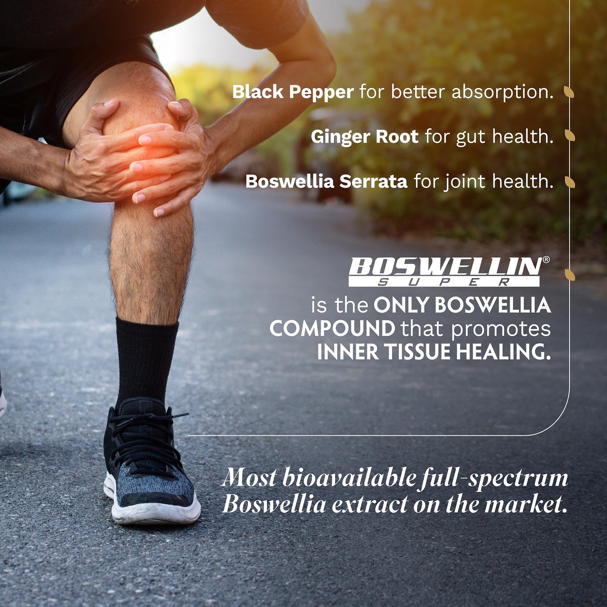 Tribe Organics Boswellia Complex vegetarian capsules close up