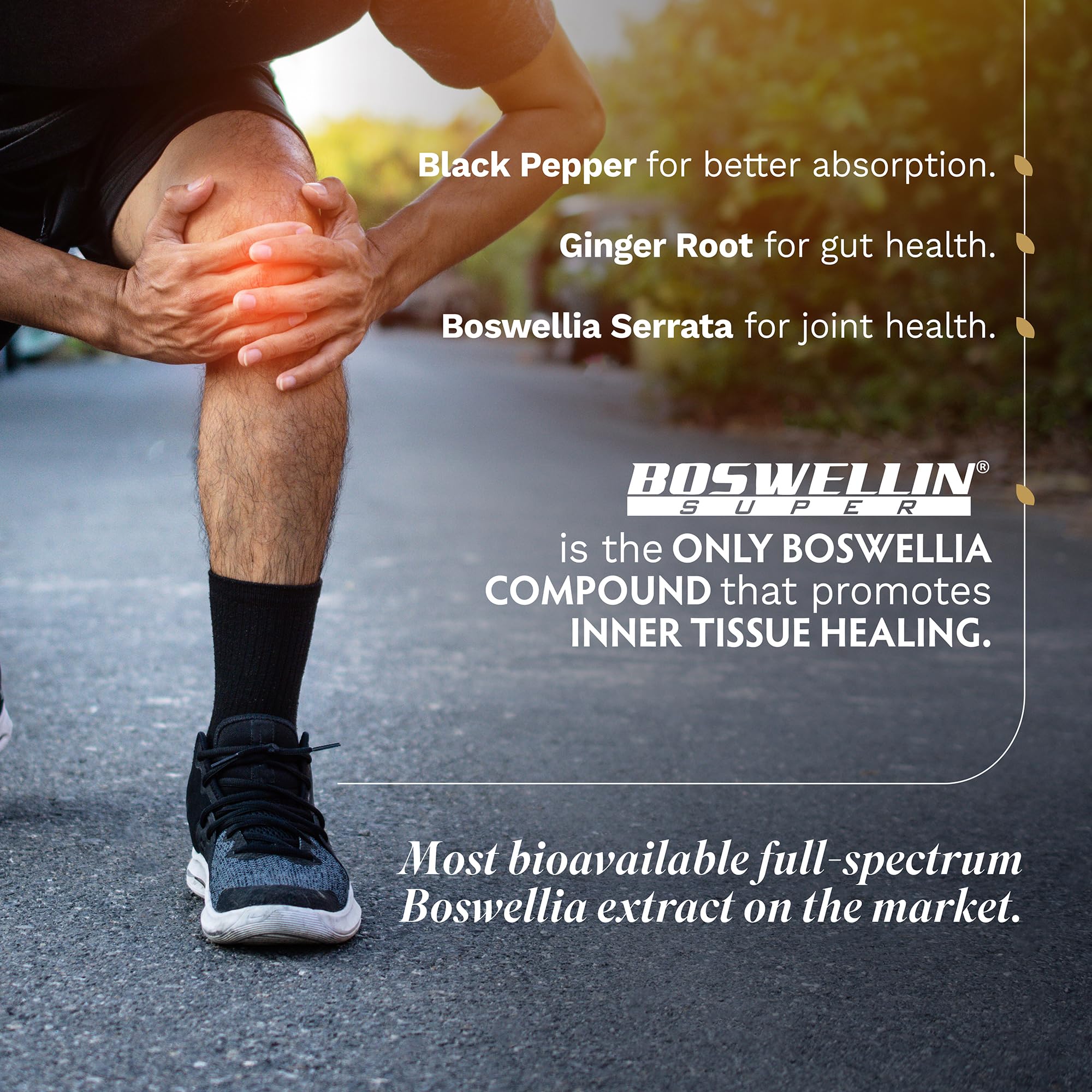 Tribe Organics Boswellia Complex vegetarian capsules close up