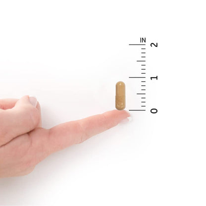 Top view of the packaging emphasizing the shelf stable formulation and brand seal.