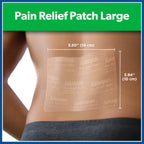 Salonpas Pain Relief Patch showing 12 hour relief benefits