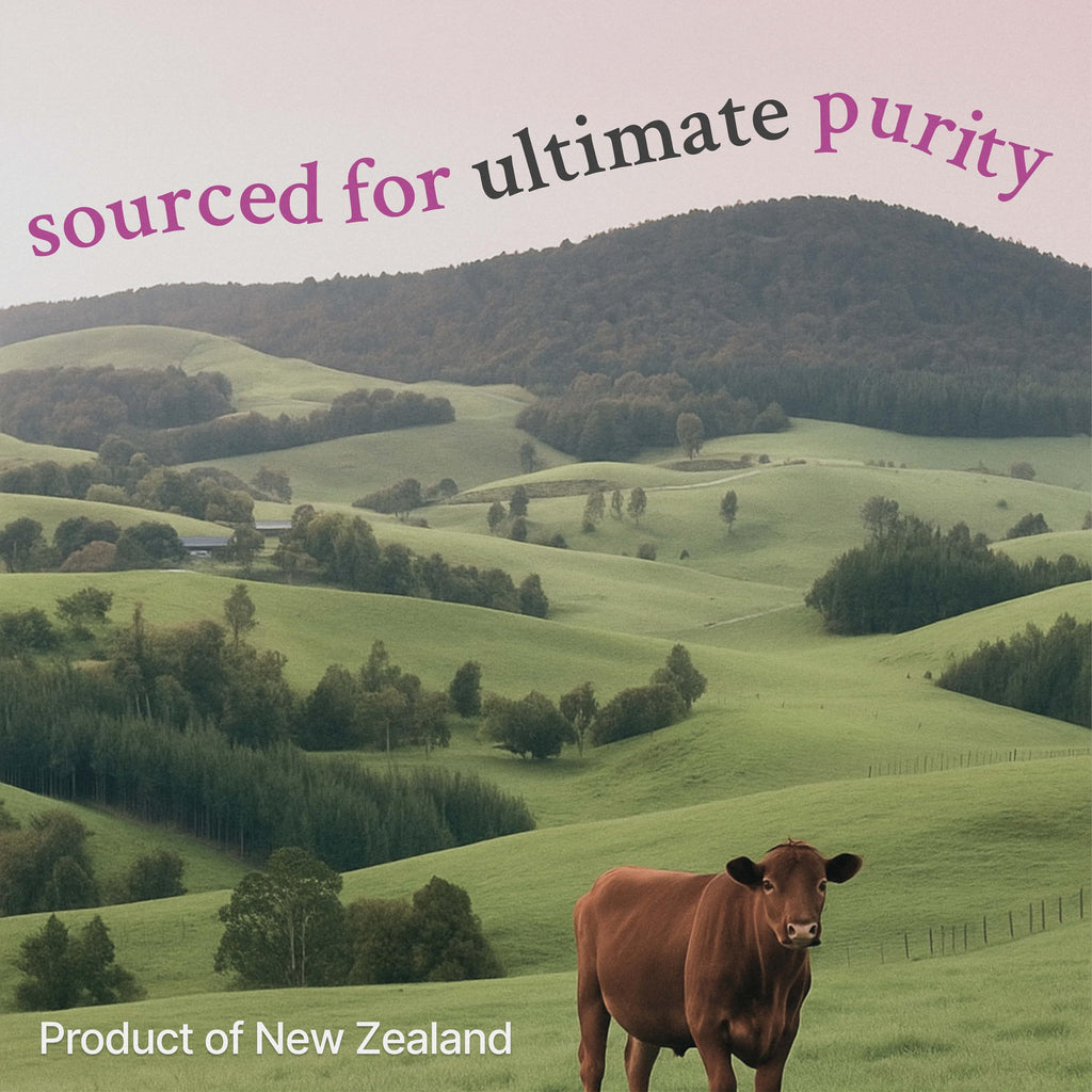 Vital Core Desiccated Thyroid Supplement grass-fed bovine source