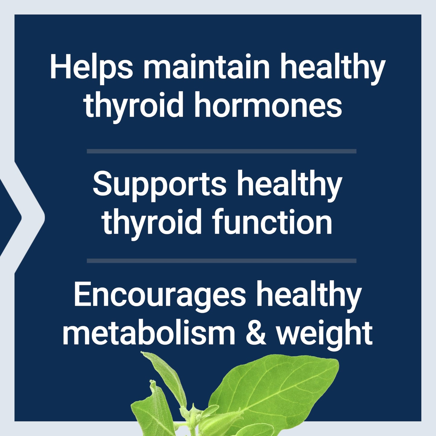 Gluten free non GMO thyroid support capsules bottle by Life Extension