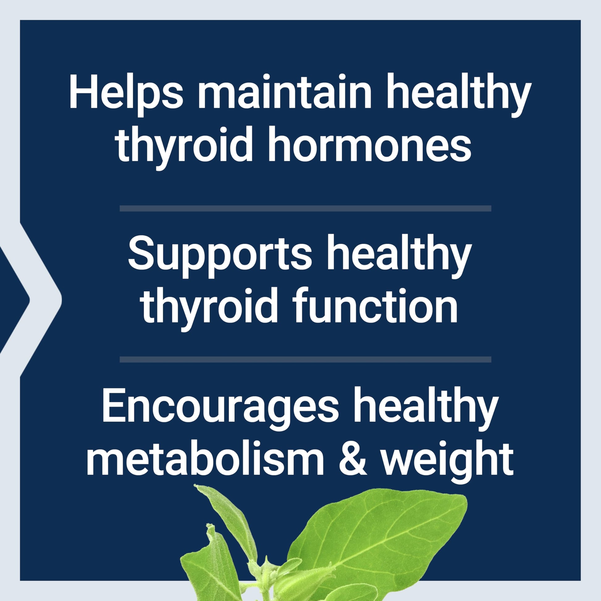 Gluten free non GMO thyroid support capsules bottle by Life Extension