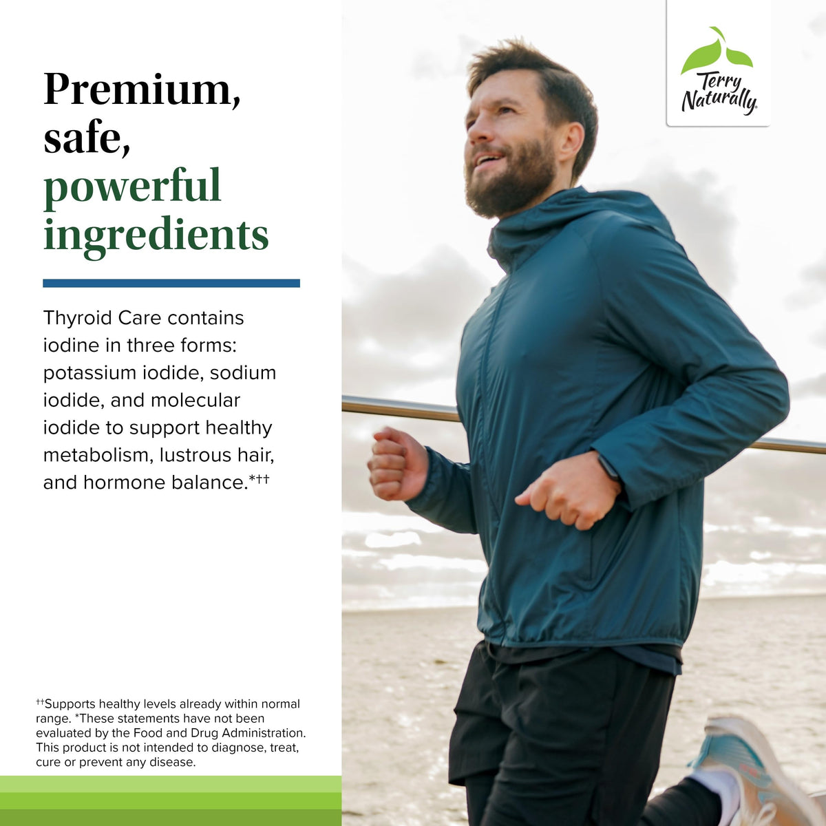 Terry Naturally Thyroid Care Plus key ingredient highlights