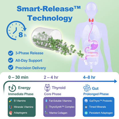 Quorinthiumax Advanced Thyroid support formula showcasing the 3-phase smart-release micro-bead technology.