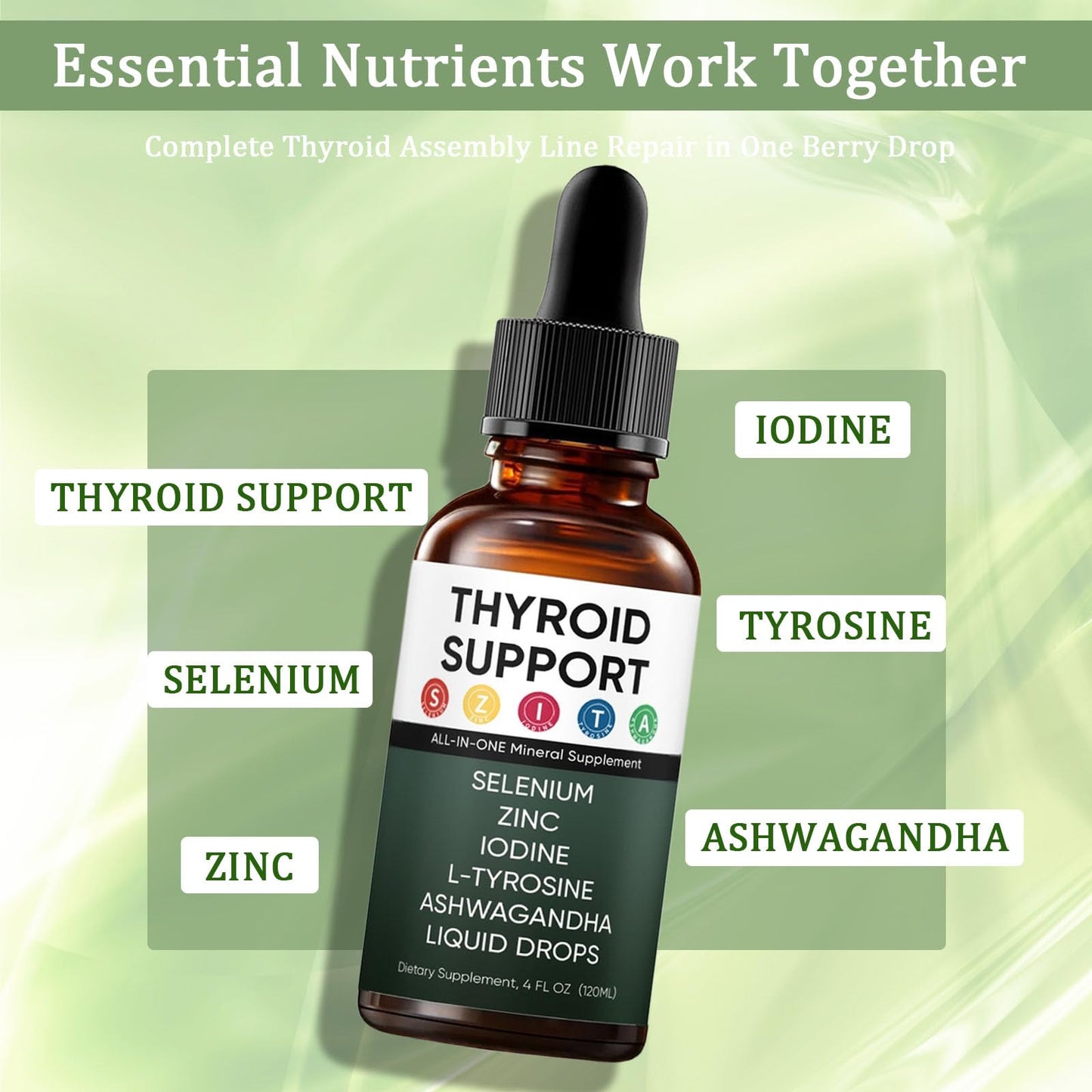 Kindled ashwagandha and l-tyrosine thyroid liquid drops lifestyle placement
