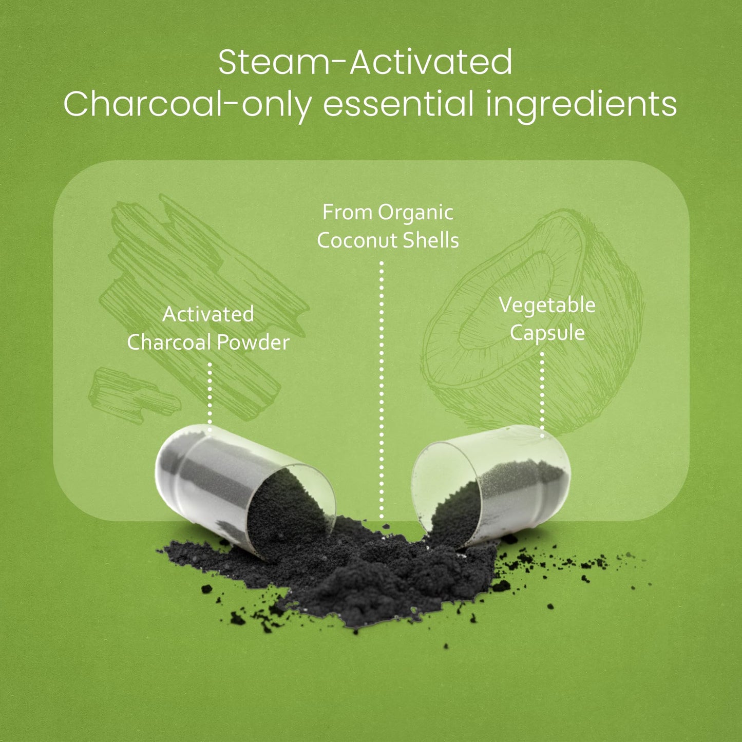 Premium 1200mg potency activated charcoal capsules back panel supplement facts