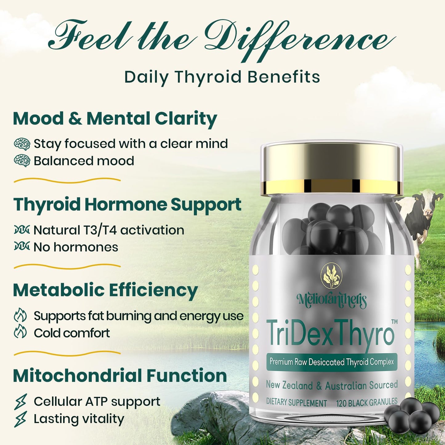 Side label of TriDexThyro three hundred seventy five milligram complex showcasing clean formula facts.