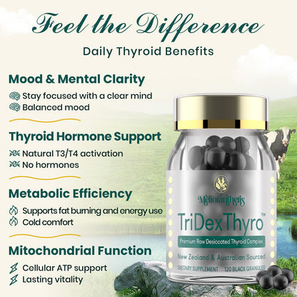 Side label of TriDexThyro three hundred seventy five milligram complex showcasing clean formula facts.