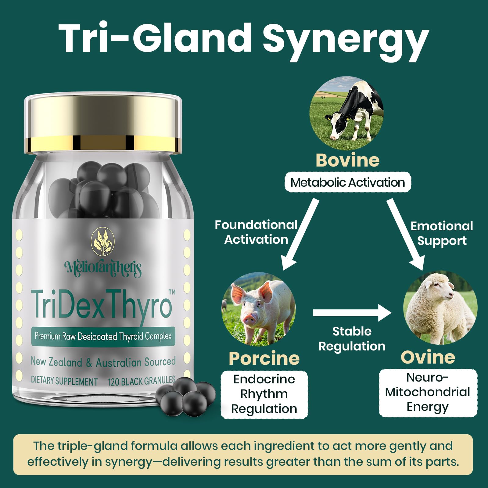 Close up view of the black granules from the authentic USA imported thyroid complex.
