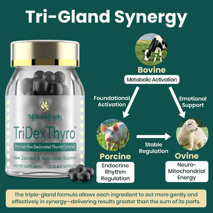 Close up view of the black granules from the authentic USA imported thyroid complex.