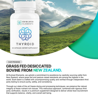 Evolved Elements metabolism booster and thyroid support capsules