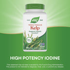 Nature's Way Kelp whole thallus dietary supplement cap view