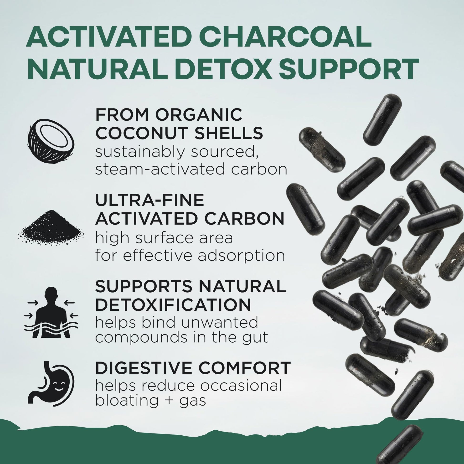 Wild Foods Wild Coal activated charcoal capsules packaging displaying premium digestive support benefits