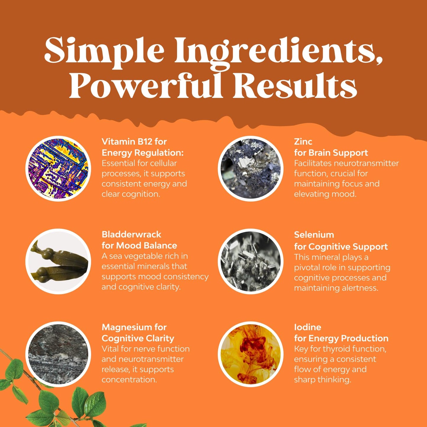Natural thyroid wellness capsules with ashwagandha and bladderwrack by Nature's Craft