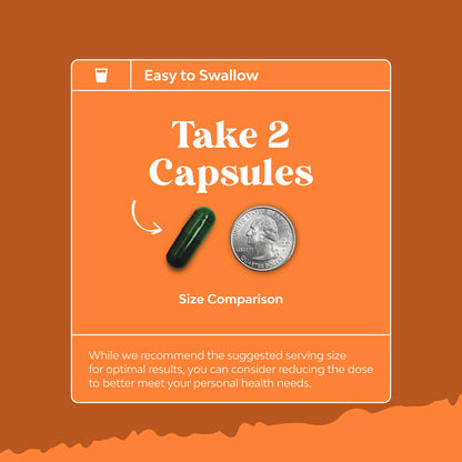 Two daily capsules dosage visualization of Nature's Craft herbal metabolism formula