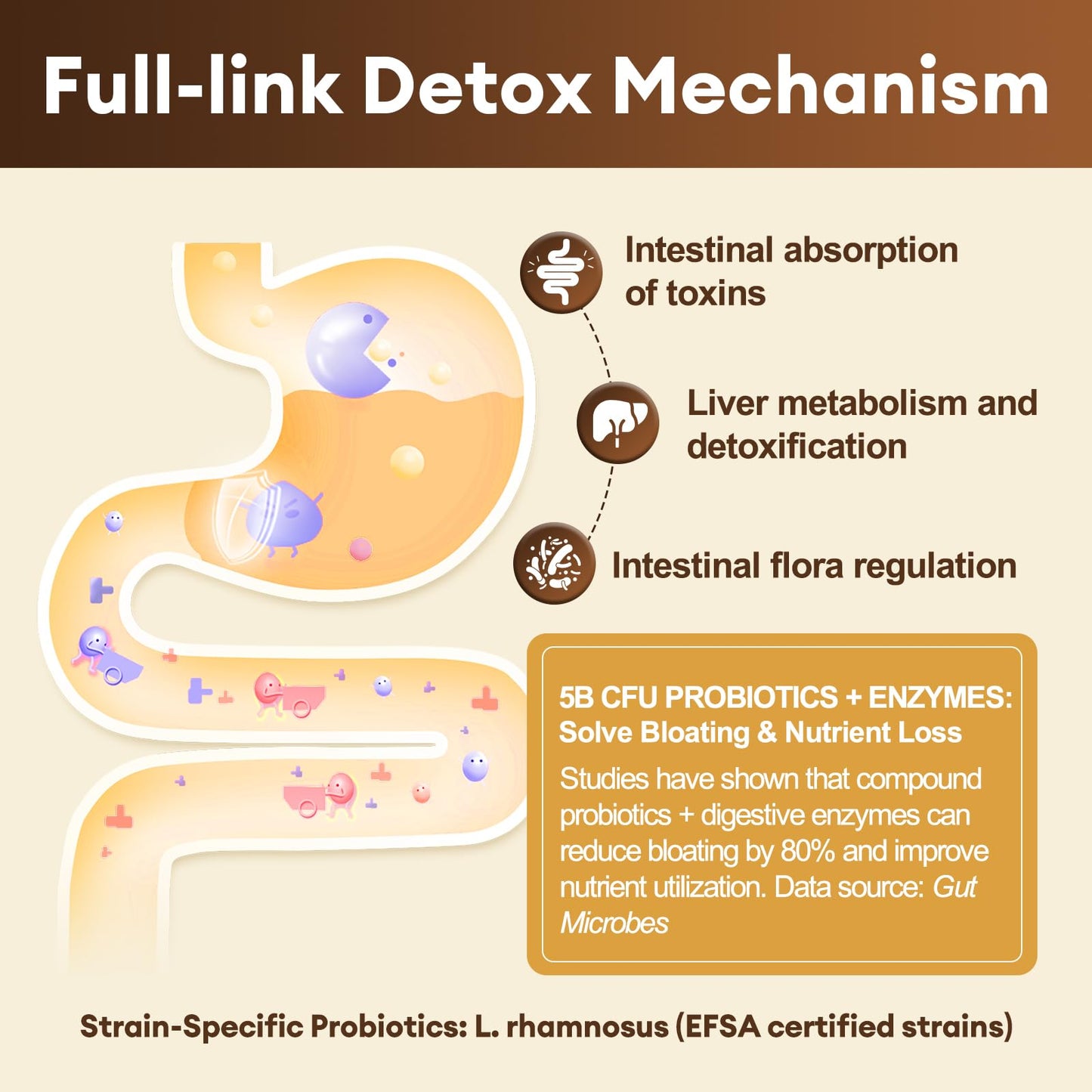 Totaria all in one cellular cleanse supplement bottle emphasizing the seven layer detox system.