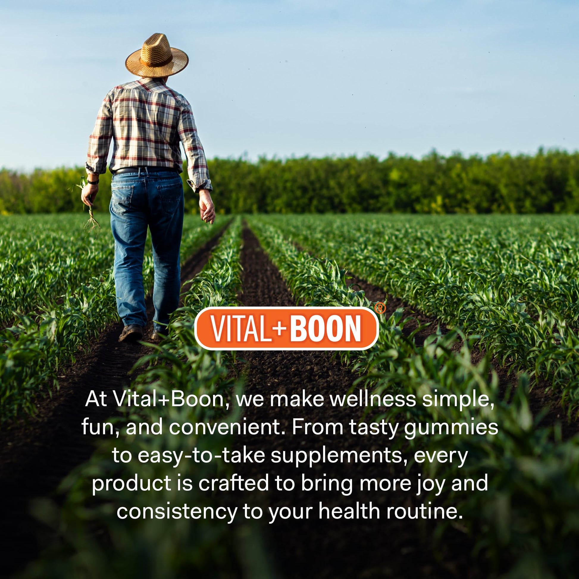 Authentic USA imported Vital+Boon stomach gas relief supplement retail packaging.