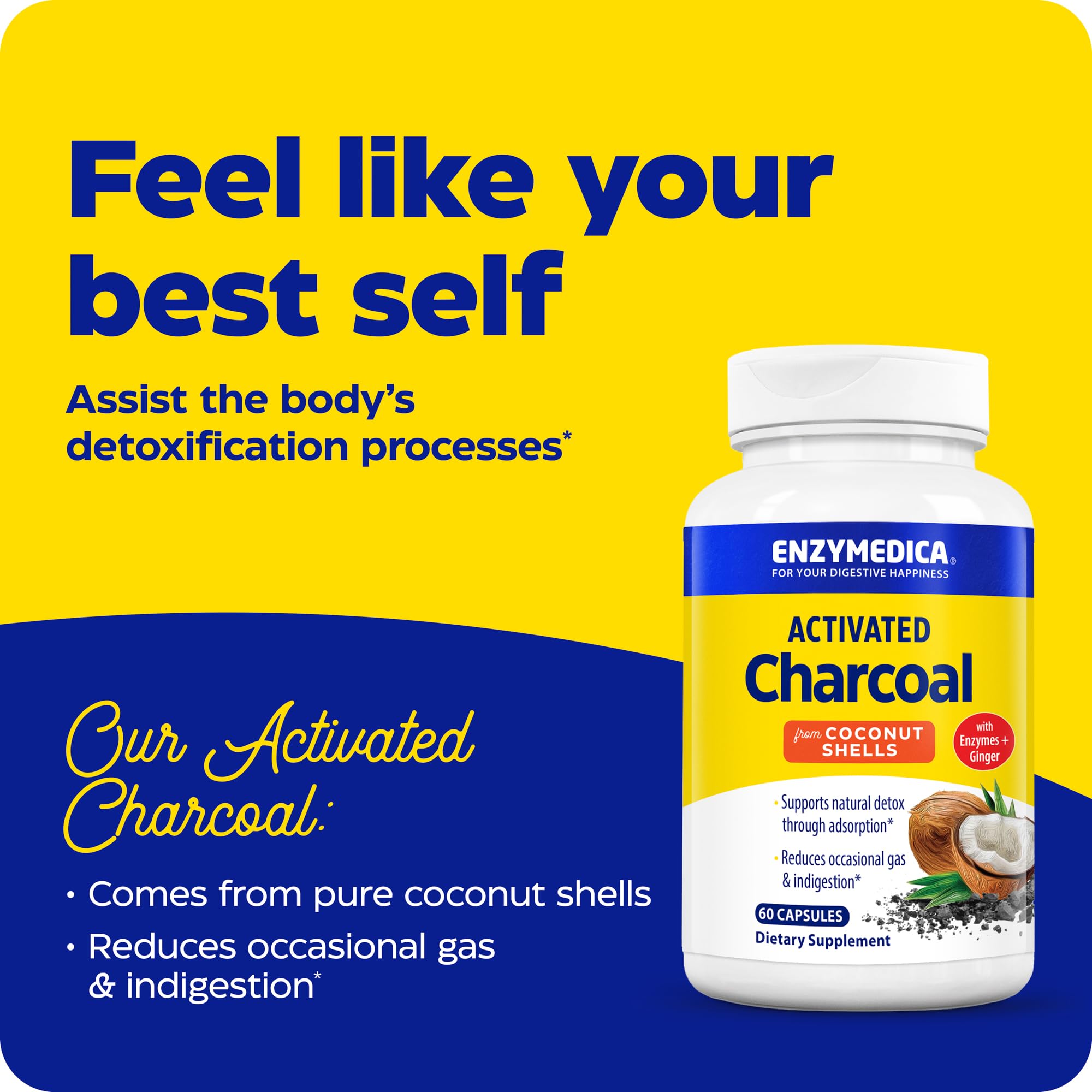 Enzymedica Activated Charcoal supplement facts and nutritional ingredients label overview