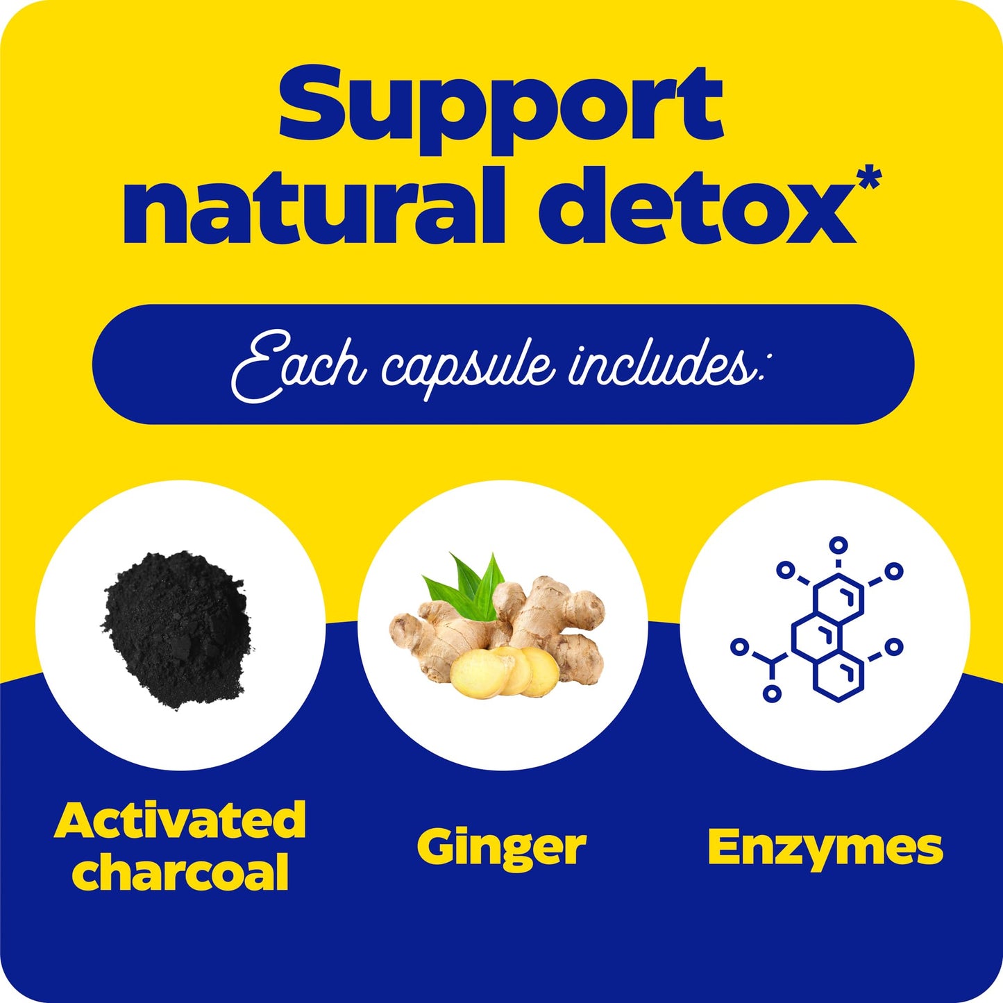 Enzymedica Activated Charcoal bottle standing upright alongside natural coconut graphics