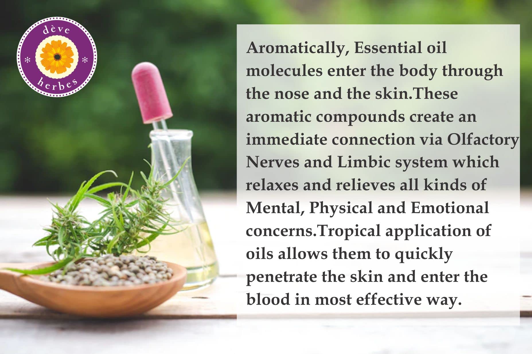 Premium glass packaging of Deve Herbes natural clary sage and chamomile menstrual comfort oil