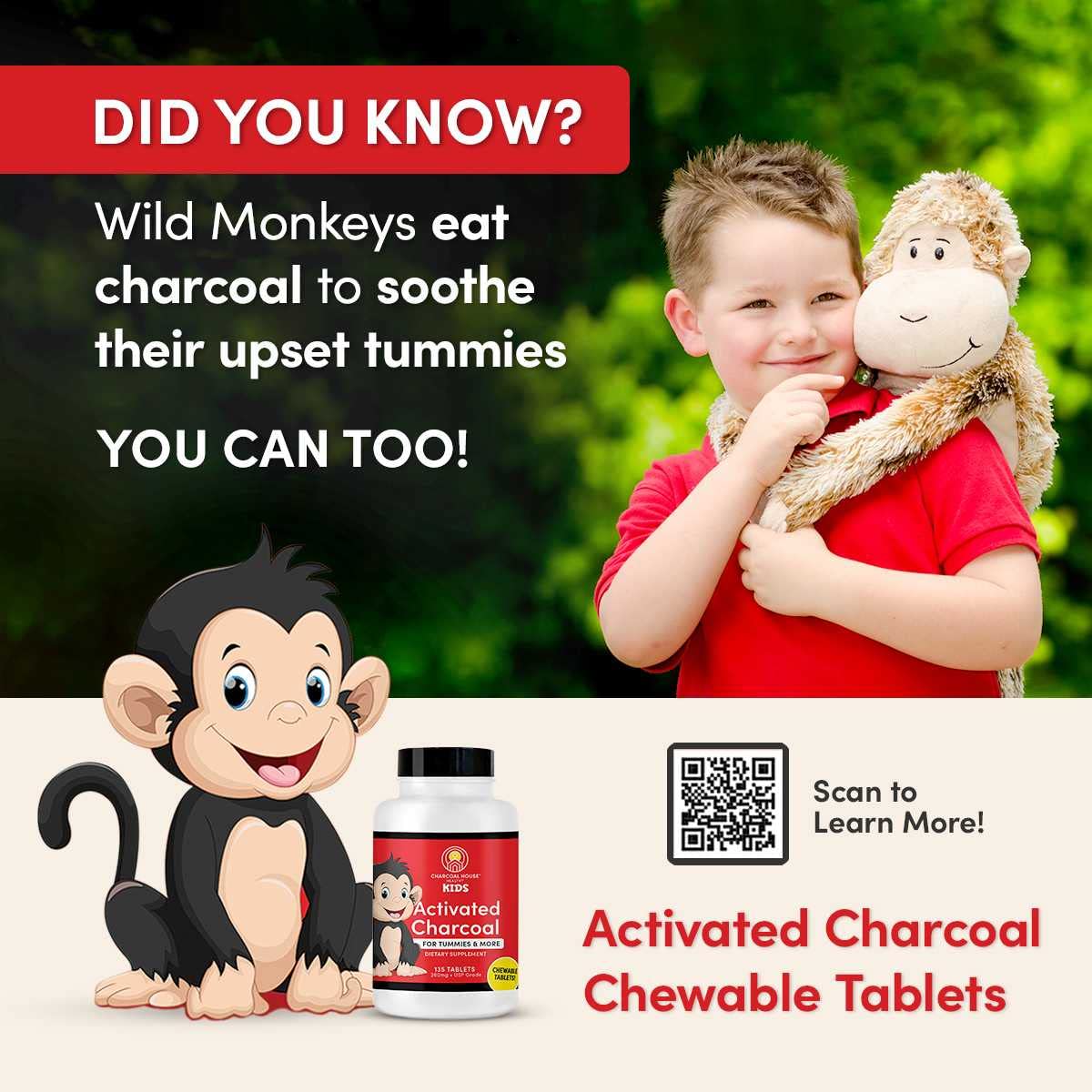 USP food grade hardwood charcoal chewable tablets for children oral and digestive care