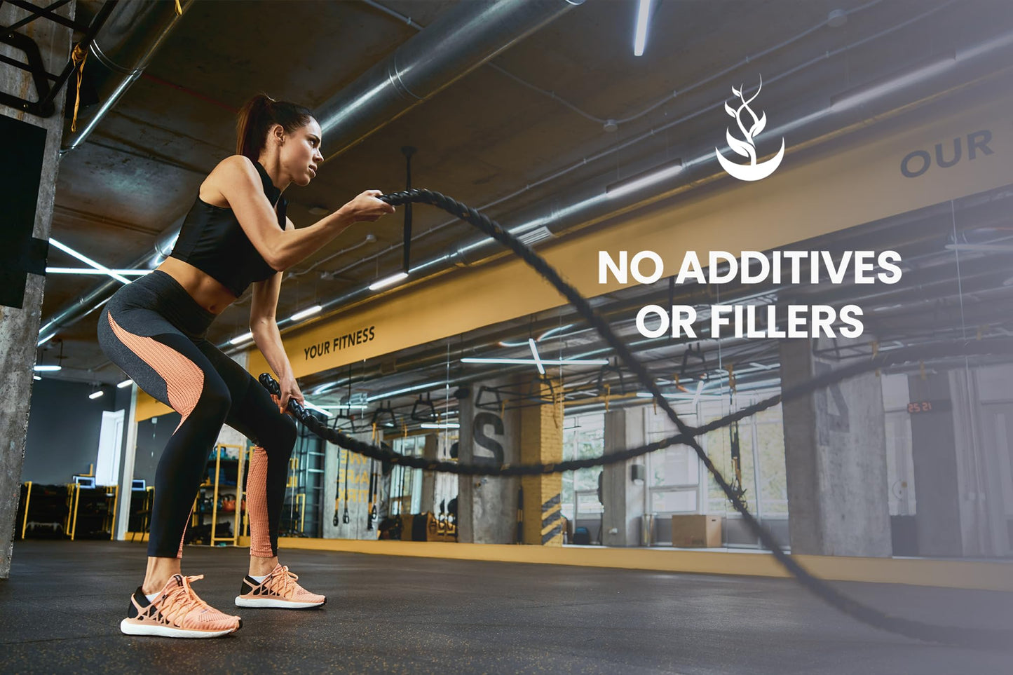 Single ingredient activated charcoal capsules without magnesium stearate flow agents.