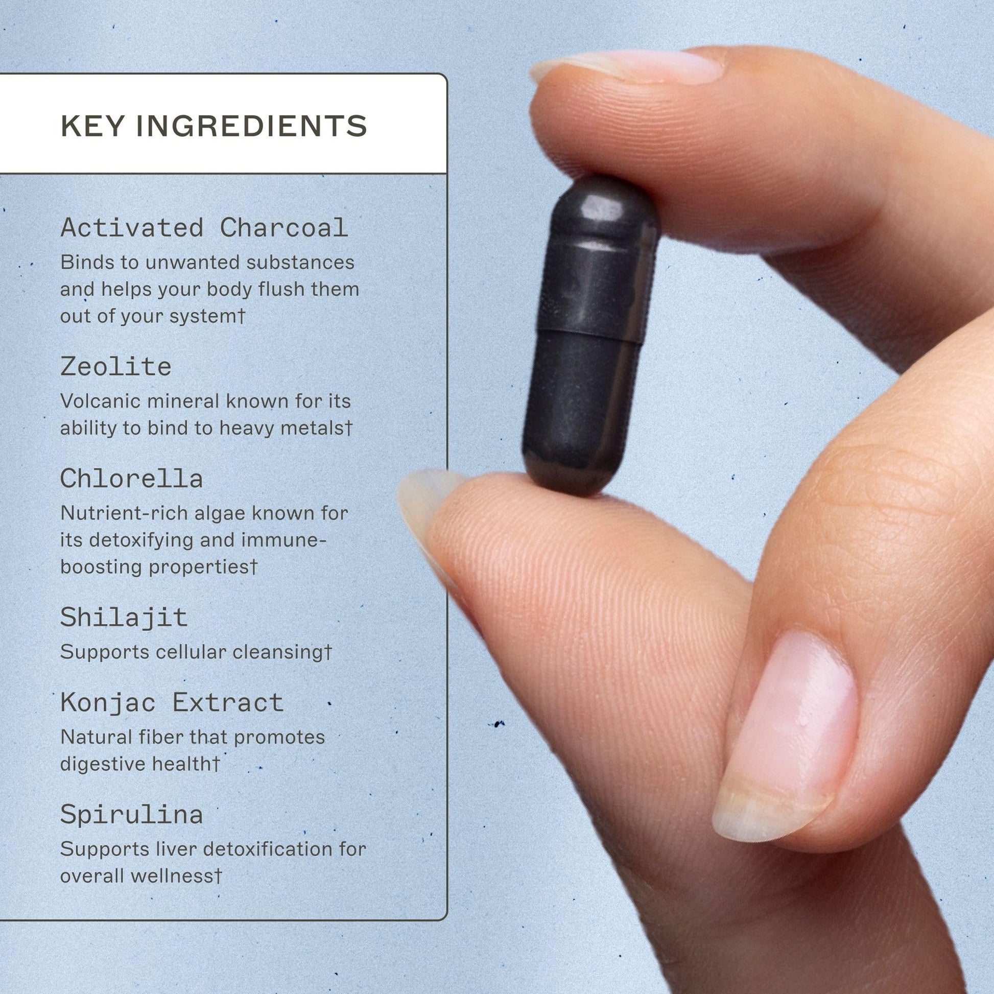 Amy Myers MD Coconut Charcoal digestive comfort supplement capsule size details