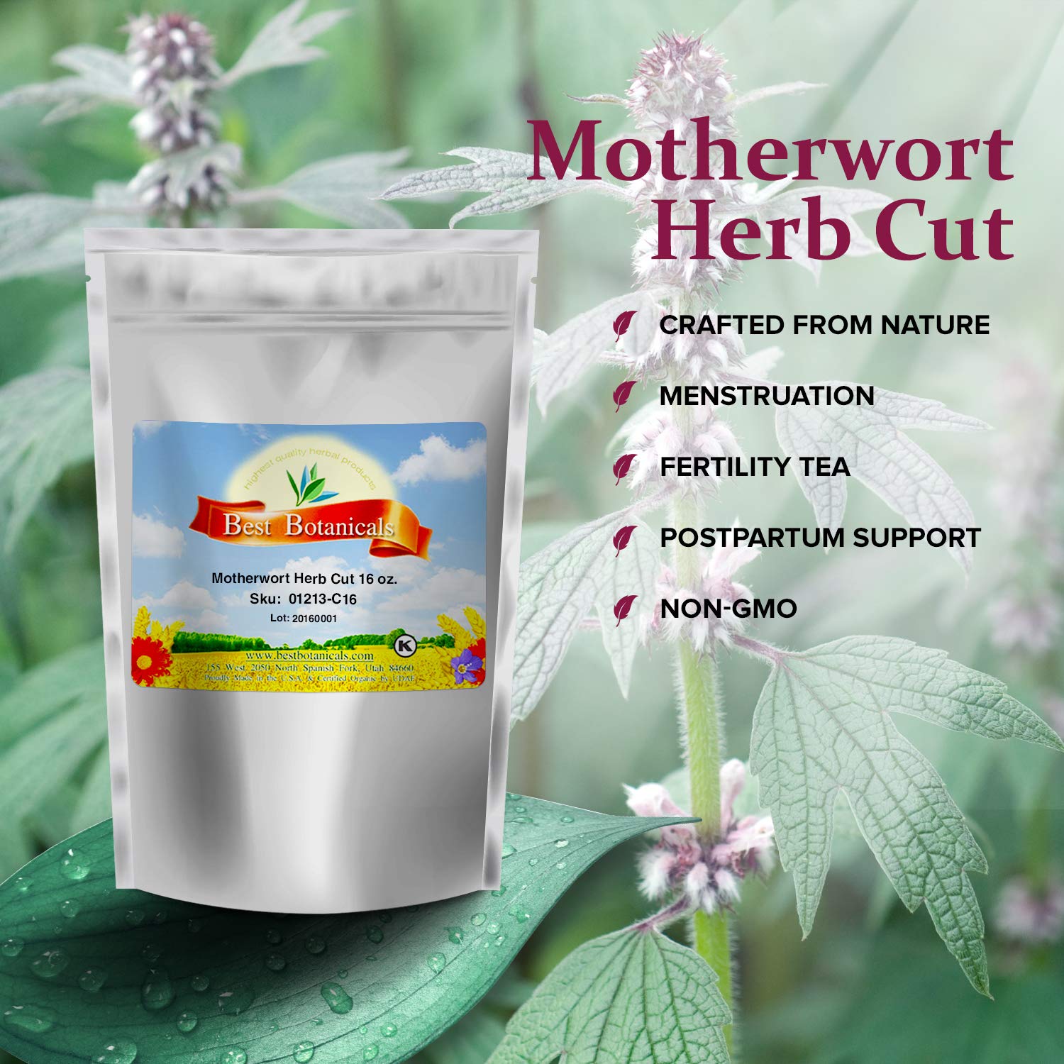 Finely cut and sifted dried Leonurus cardiaca leaves for natural stress and heart support infusions.