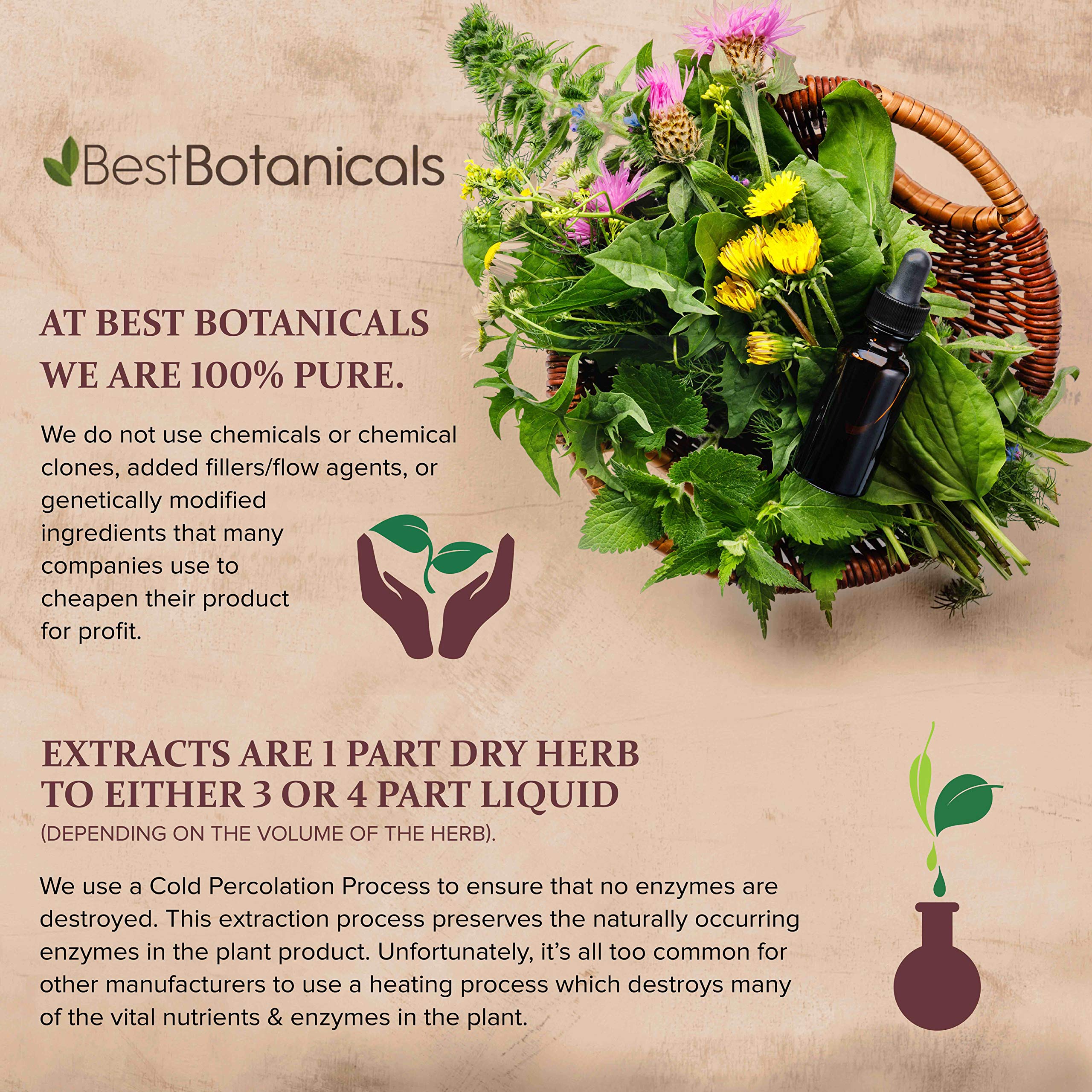 Back label of Best Botanicals Motherwort loose herb showing ingredients and nutritional information.