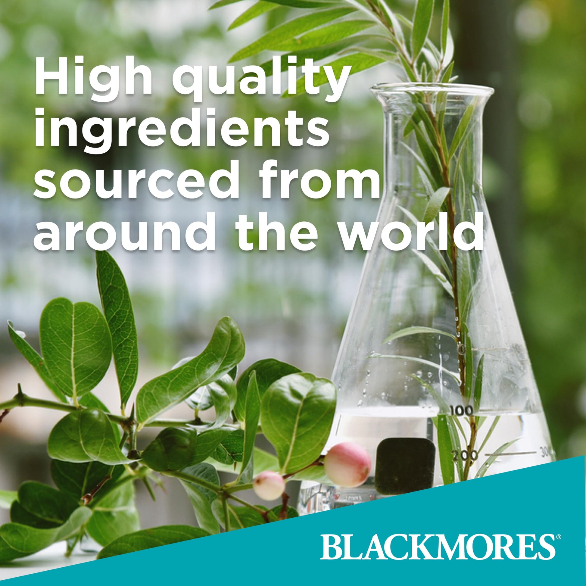 Premium chasteberry extract tablets by Blackmores for female wellness
