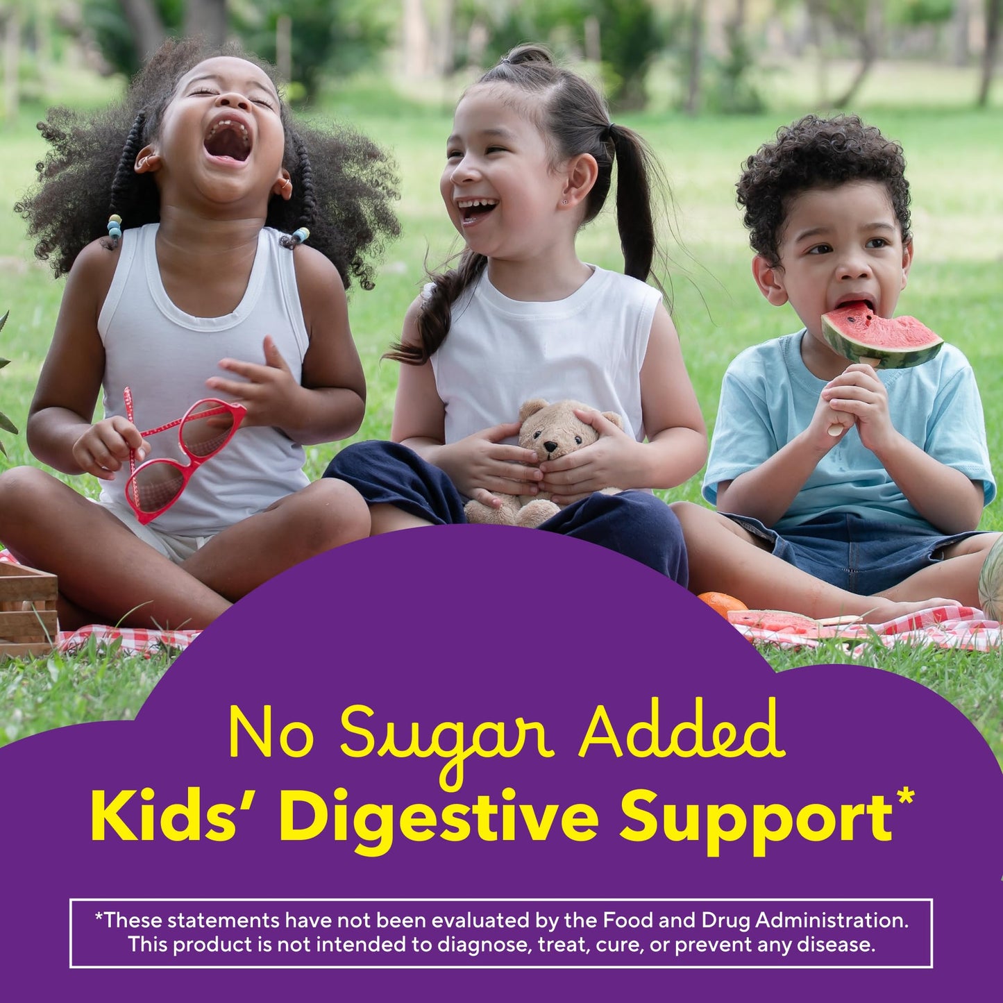 Lil Critters natural berry and lemon flavor fiber supplements for toddlers