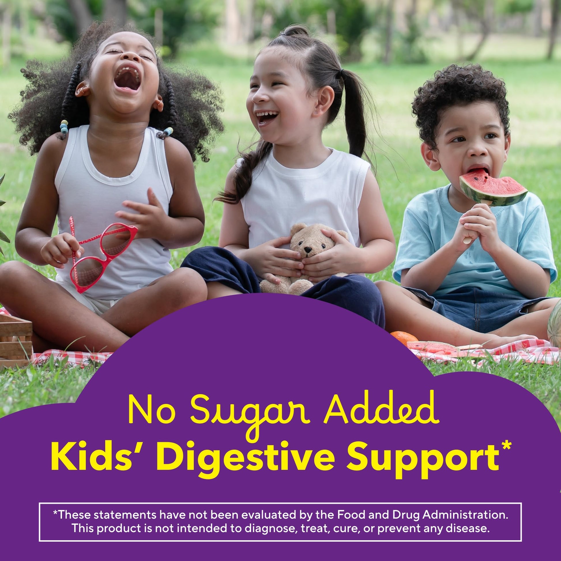 Lil Critters natural berry and lemon flavor fiber supplements for toddlers