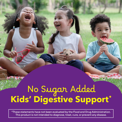 Lil Critters natural berry and lemon flavor fiber supplements for toddlers