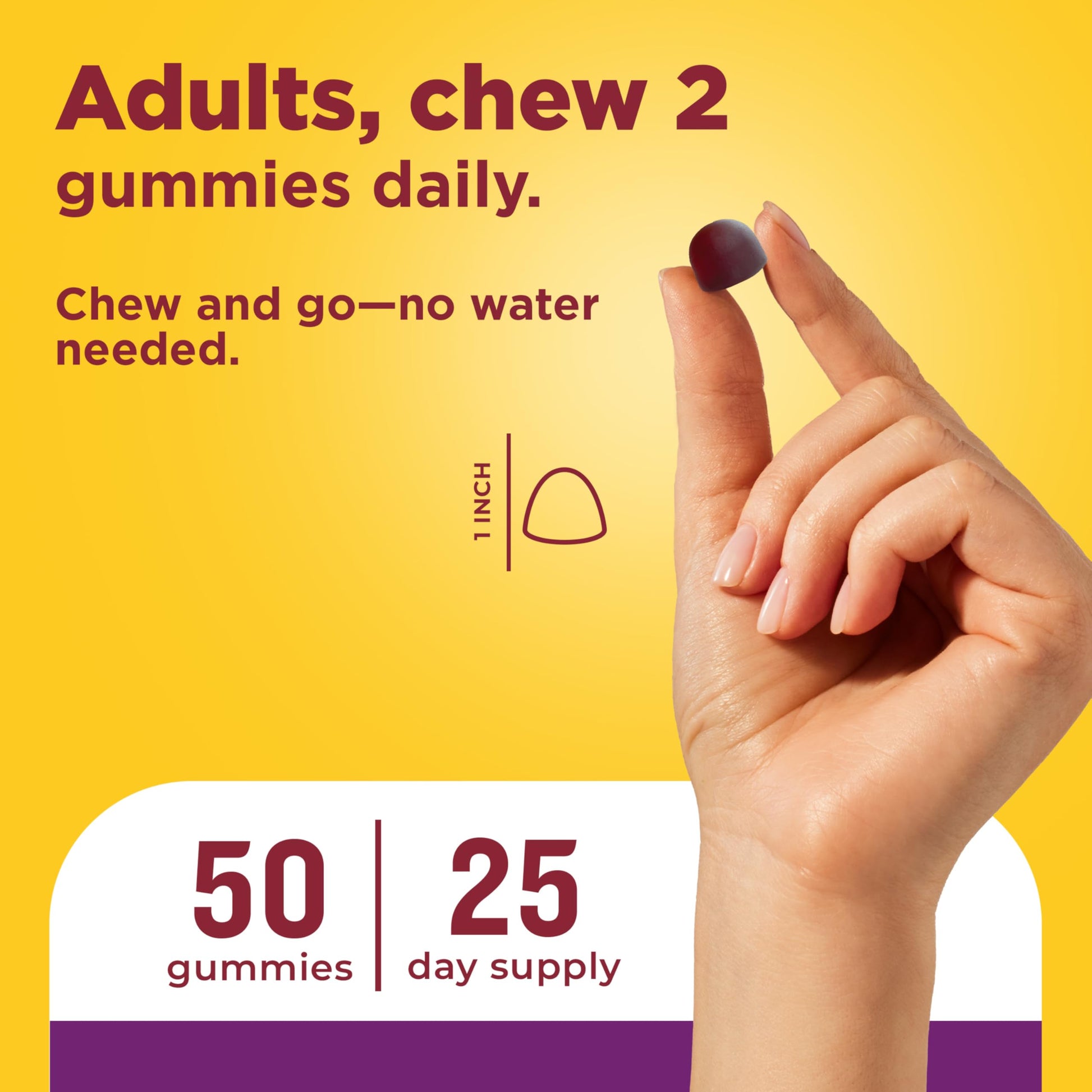 Authentic Nature Made dual action gut health support gummies for adults